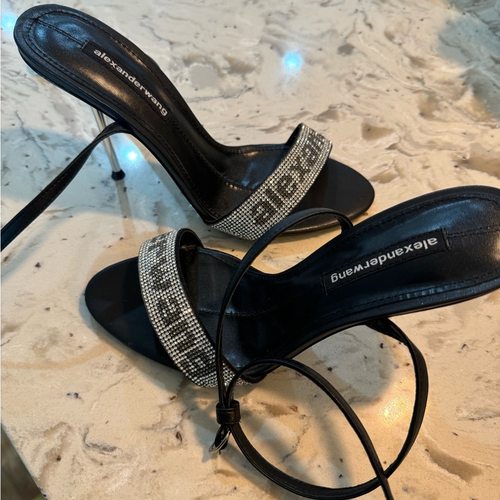 Brand new!  Alexander Wang AUTHENTIC No bag or box! No scratches
